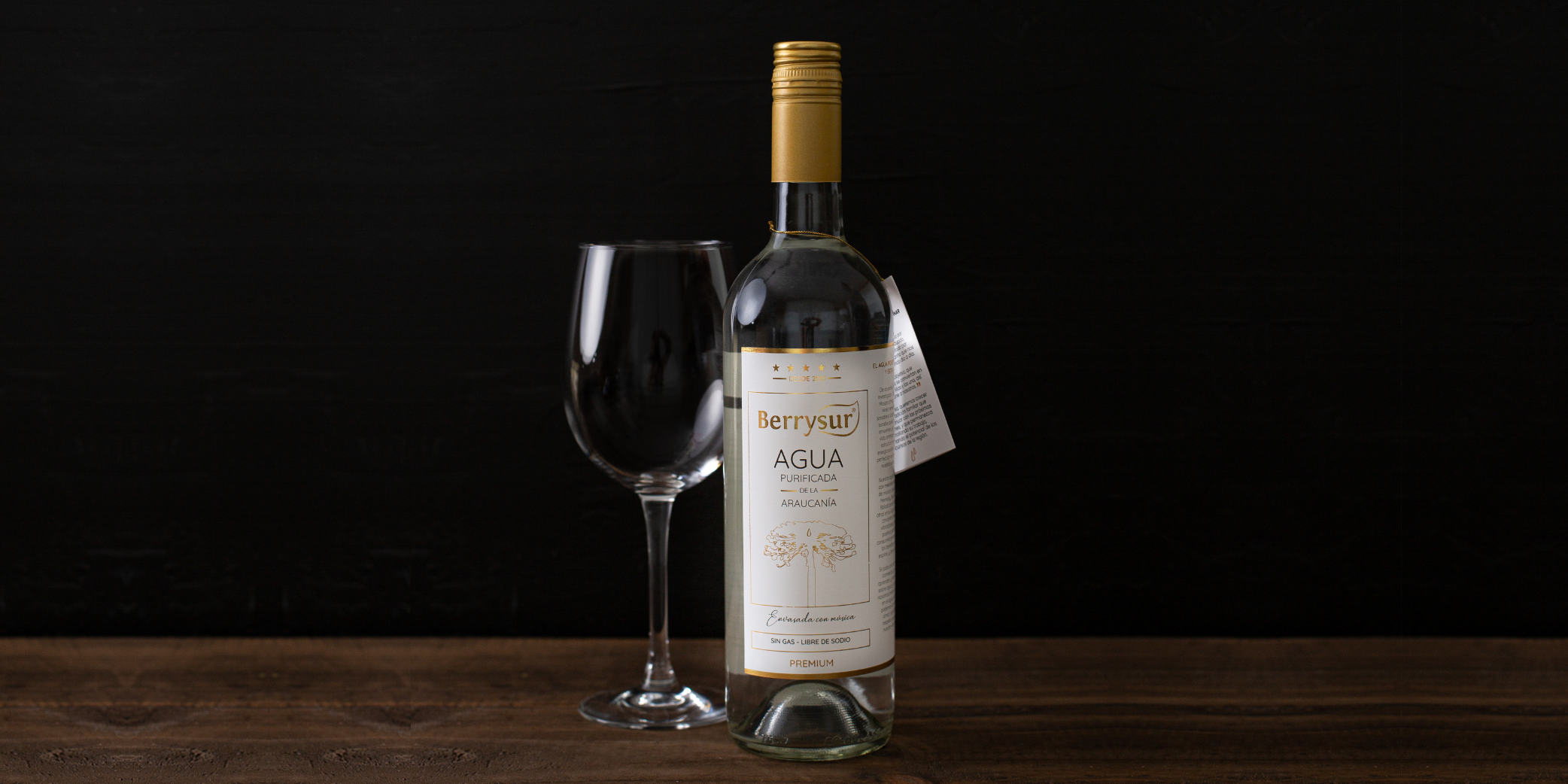 Agua Envasada con Música | Berrysur