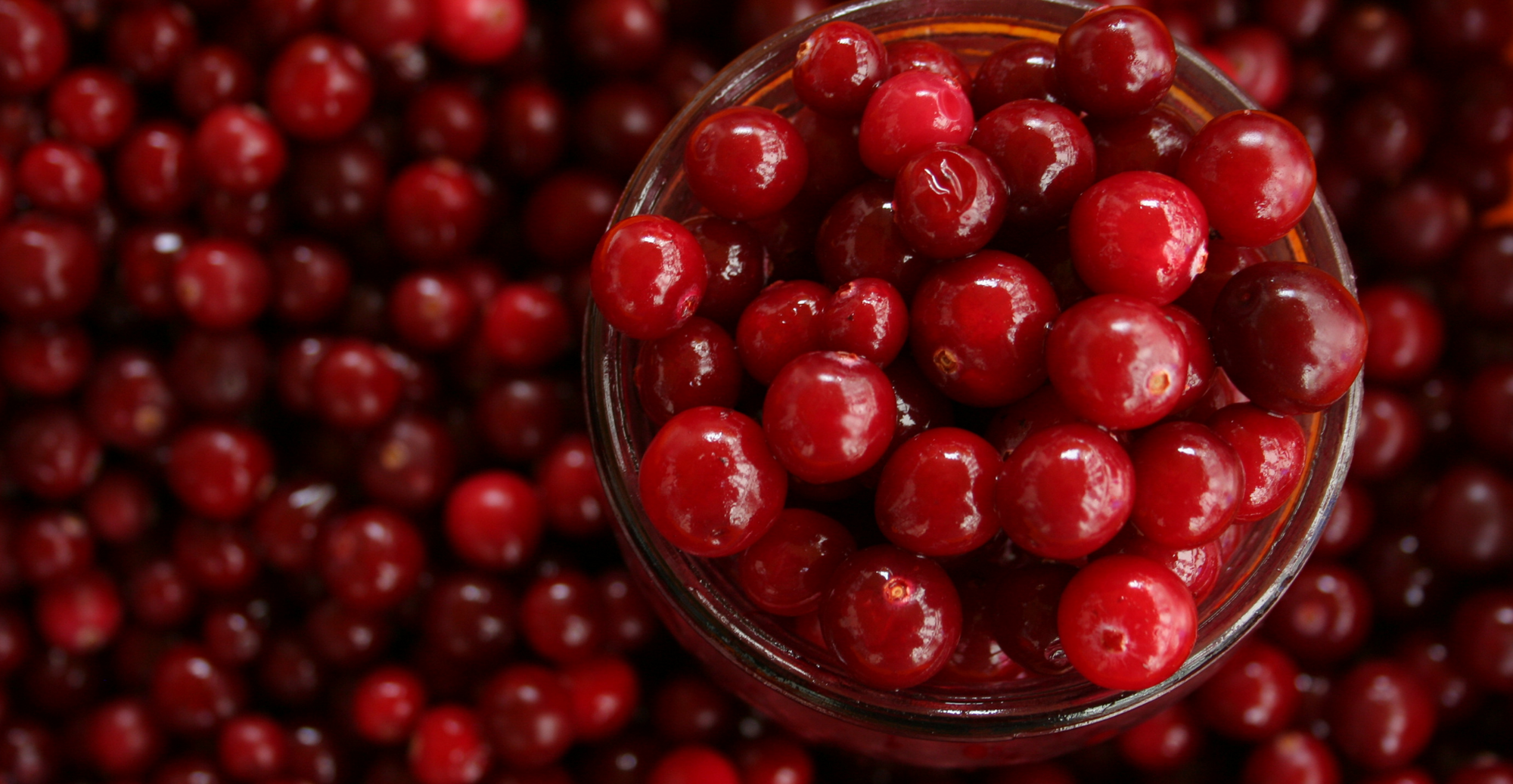 El Cranberry, la súper fruta aliada de tu salud