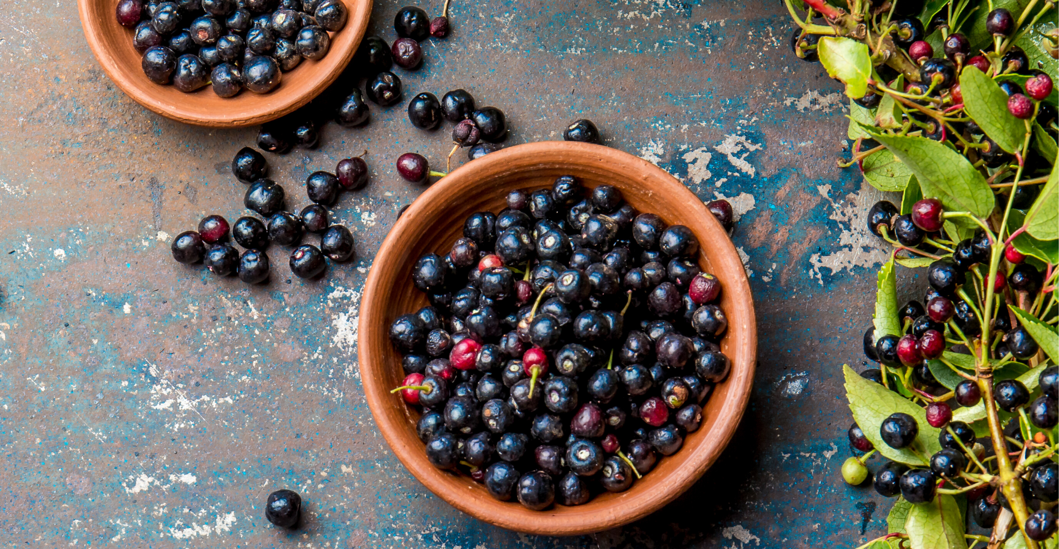 El poder de los antioxidantes