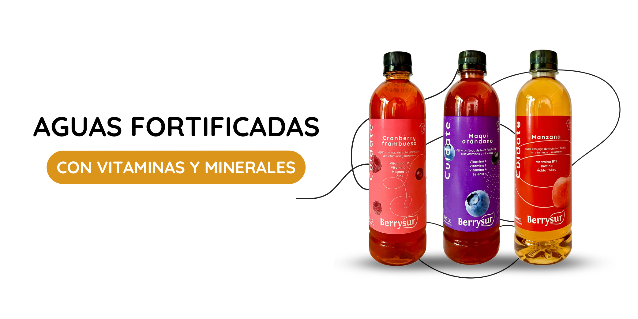 Aguas Fortificadas: Innovación, Frescura y Bienestar Desde la Araucanía