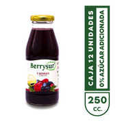 Jugo 5 Berries 250 cc. - Pack 12 unidades