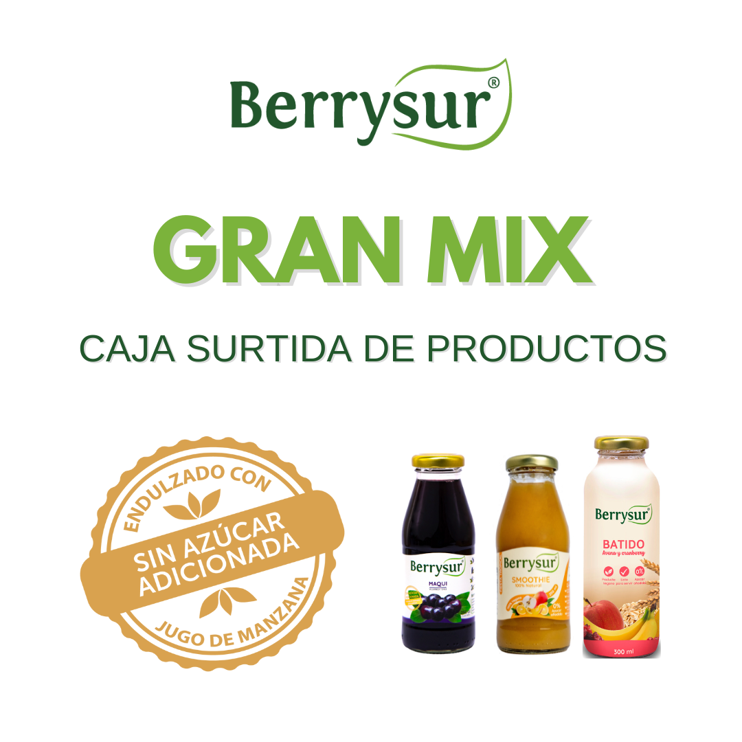 Gran Mix - Pack Surtido 12 Productos Berrysur