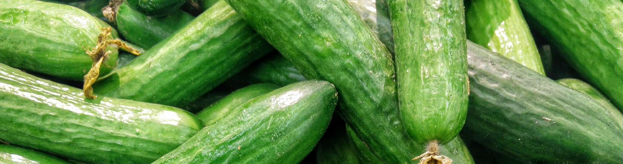 Beneficios Pepino