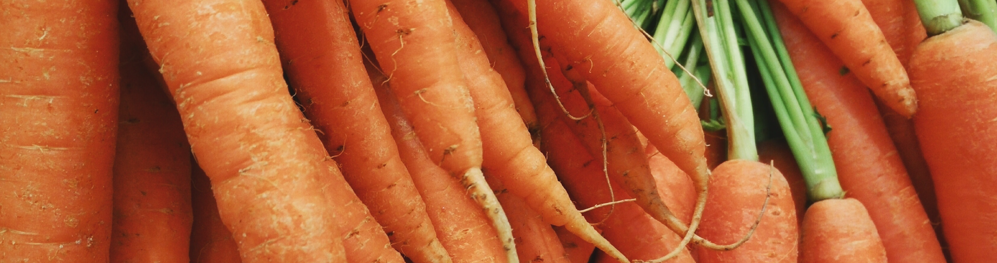 Beneficios Zanahoria
