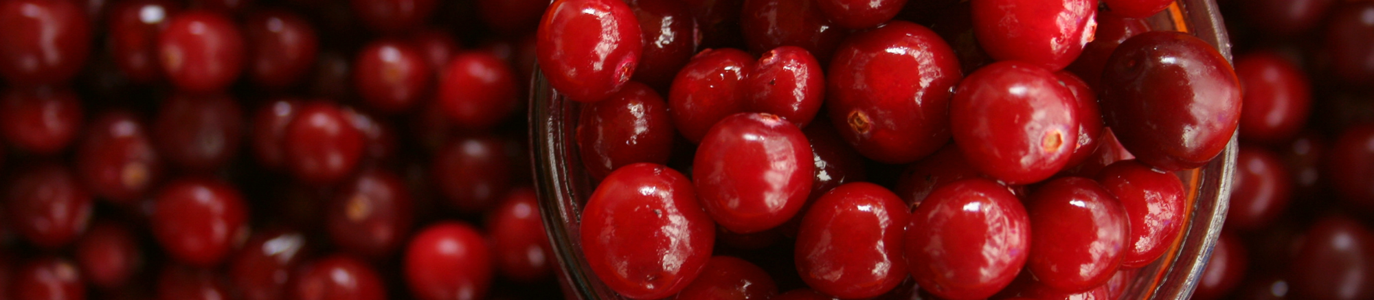 Beneficios Cranberry