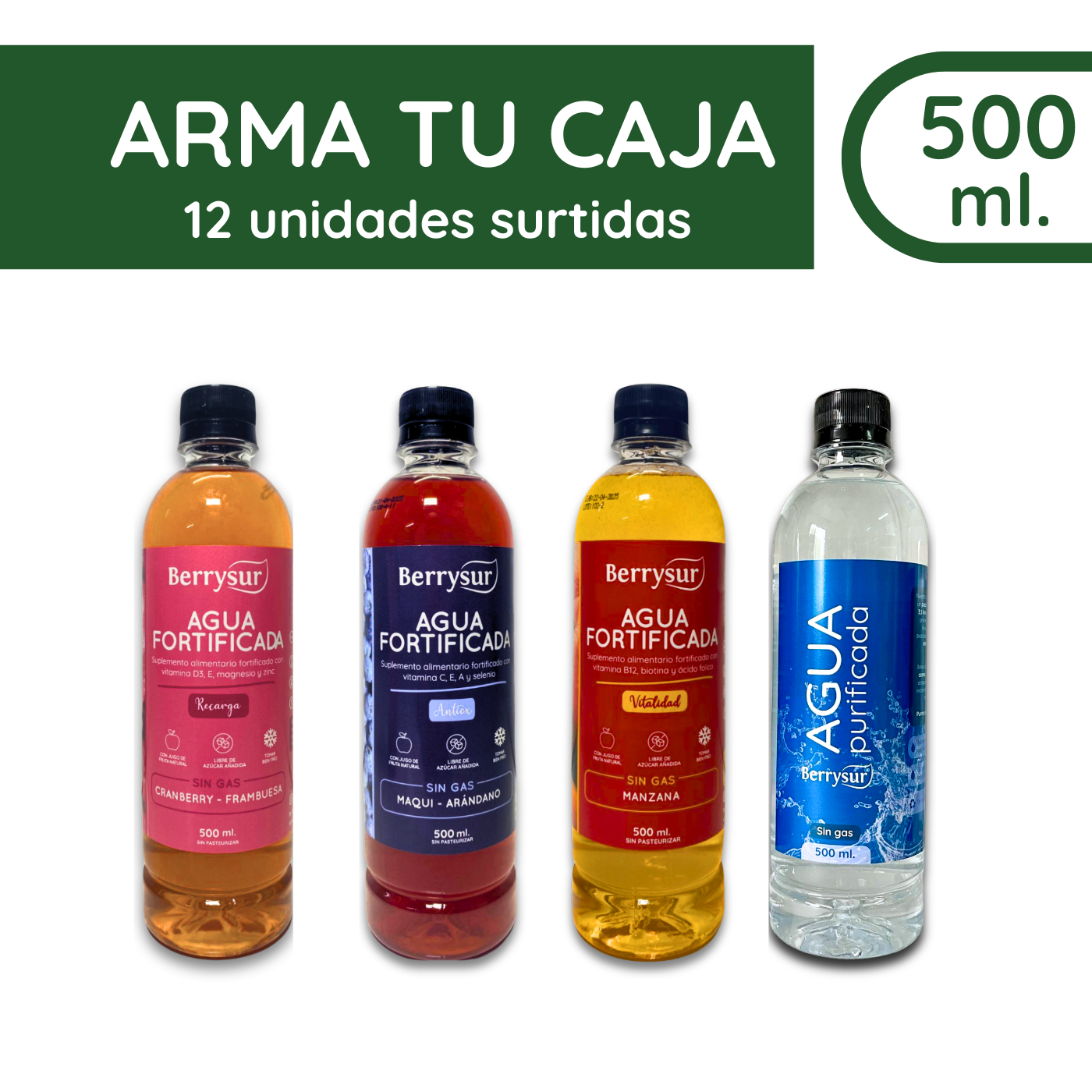 Arma tu Caja Aguas Berrysur - 12 unidades surtidas