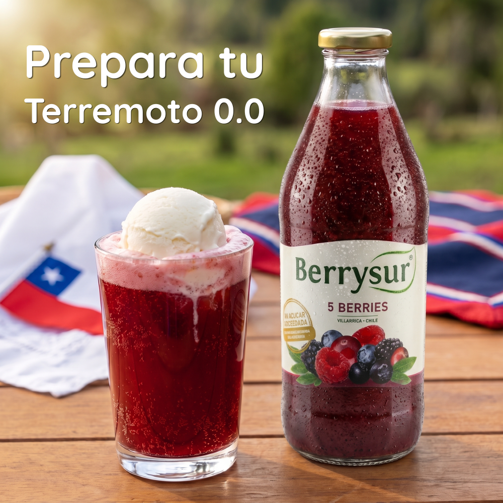 Caja Dieciochera Berrysur | 6 jugos de 1 litro