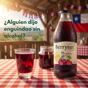 Caja Dieciochera Berrysur | 6 jugos de 1 litro