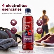 Mix Agua Re-hidratante Wild Berry y Cranberry Manzana - Caja 12 unidades 500 ml. + DESPACHO GRATIS