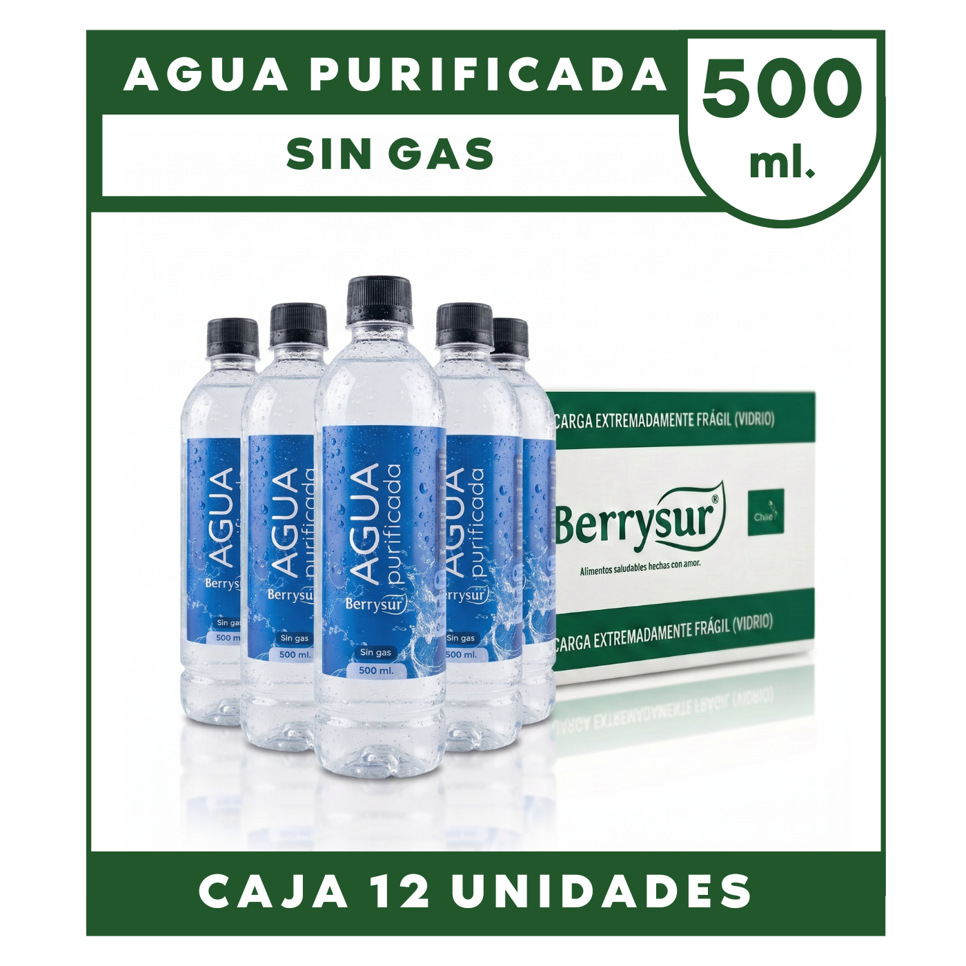 AGUAPURIFICADA500MLWEB.png