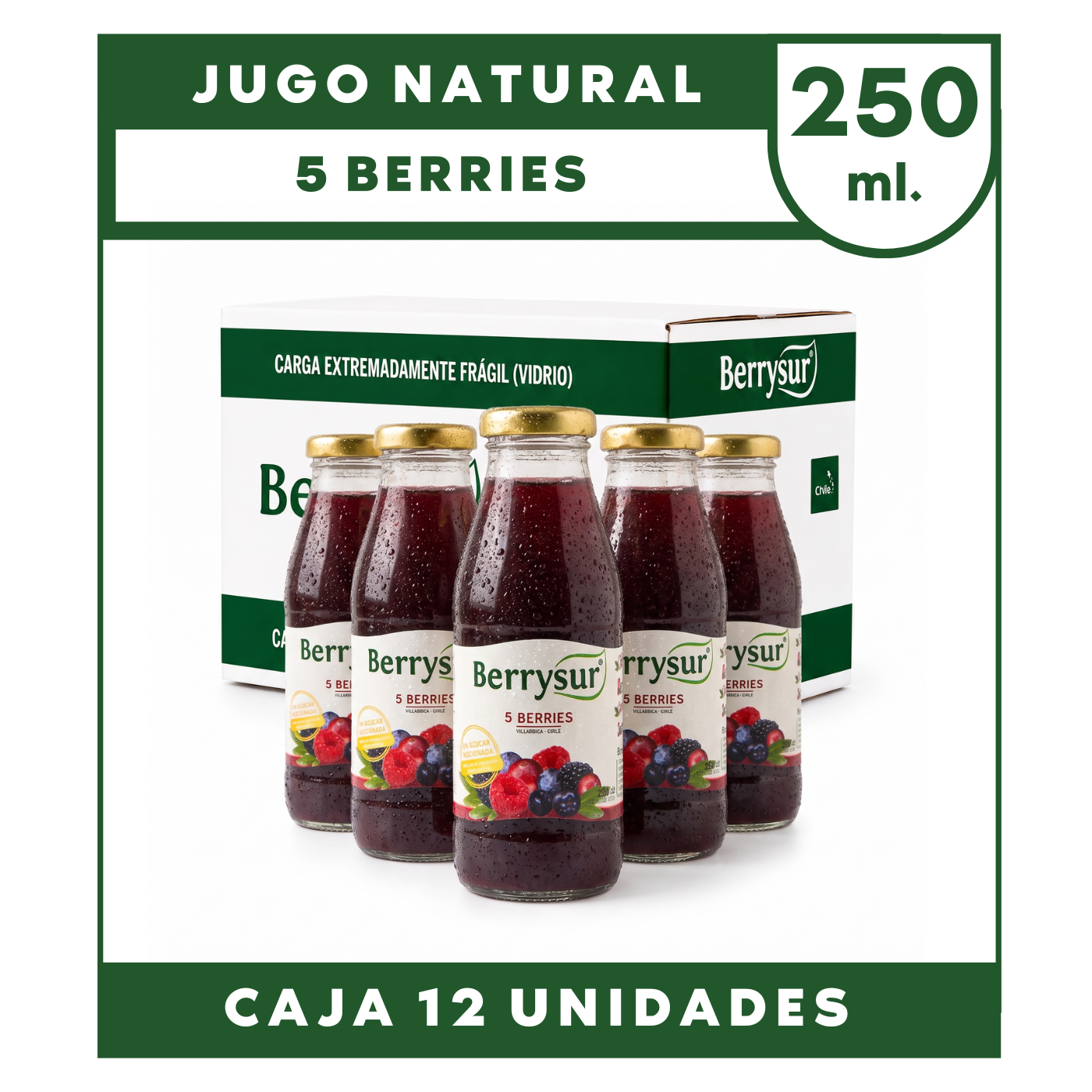 Jugo 5 Berries 250 cc. - Pack 12 unidades