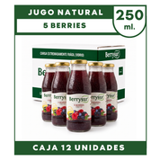 Jugo 5 Berries 250 cc. - Pack 12 unidades