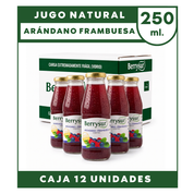 Jugo Arándano Frambuesa 250 cc. - Pack 12 unidades