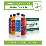 Arma tu Caja Aguas Berrysur - 12 unidades surtidas