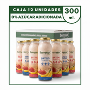 Mix Batidos - Caja 12 unidades