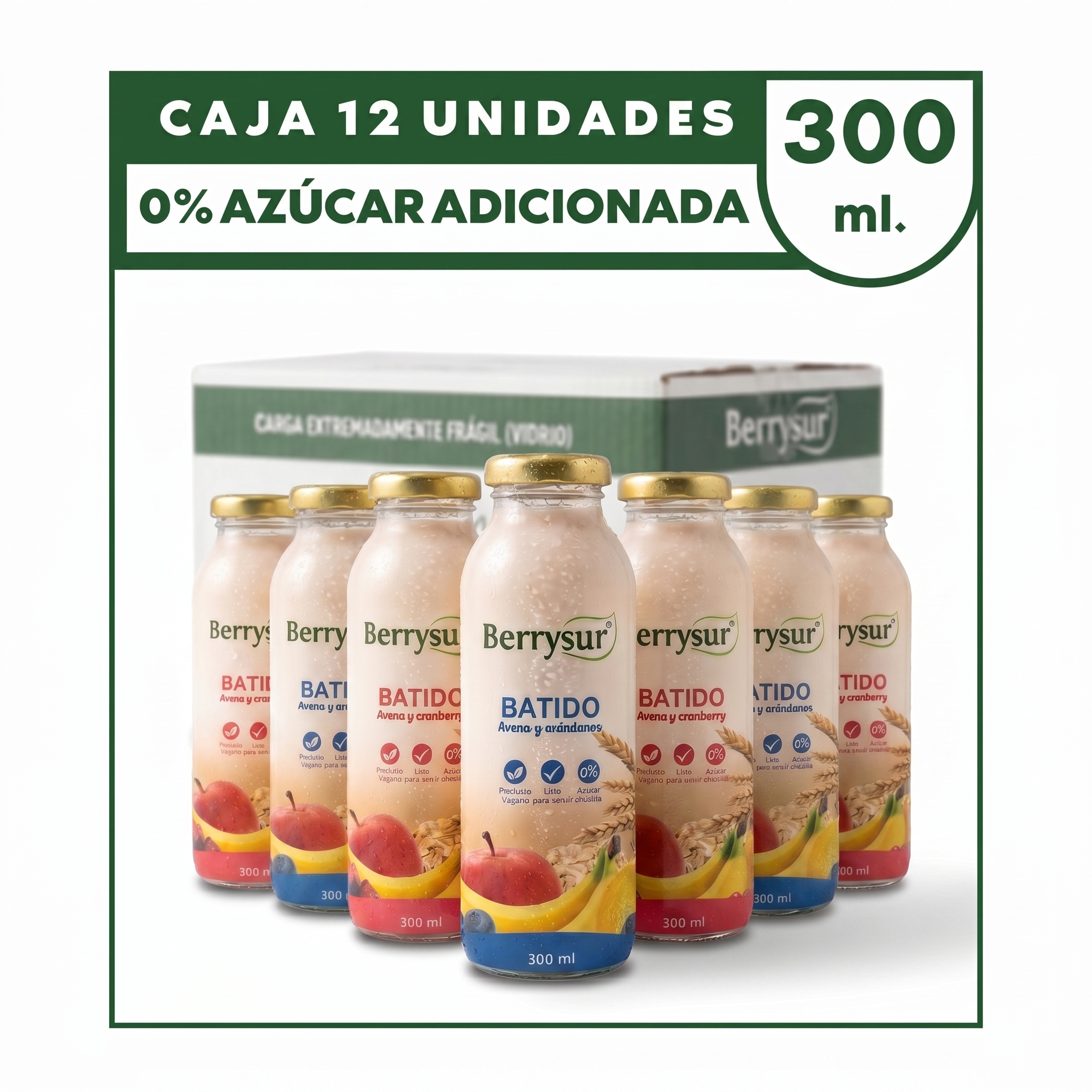 Mix Batidos - Caja 12 unidades