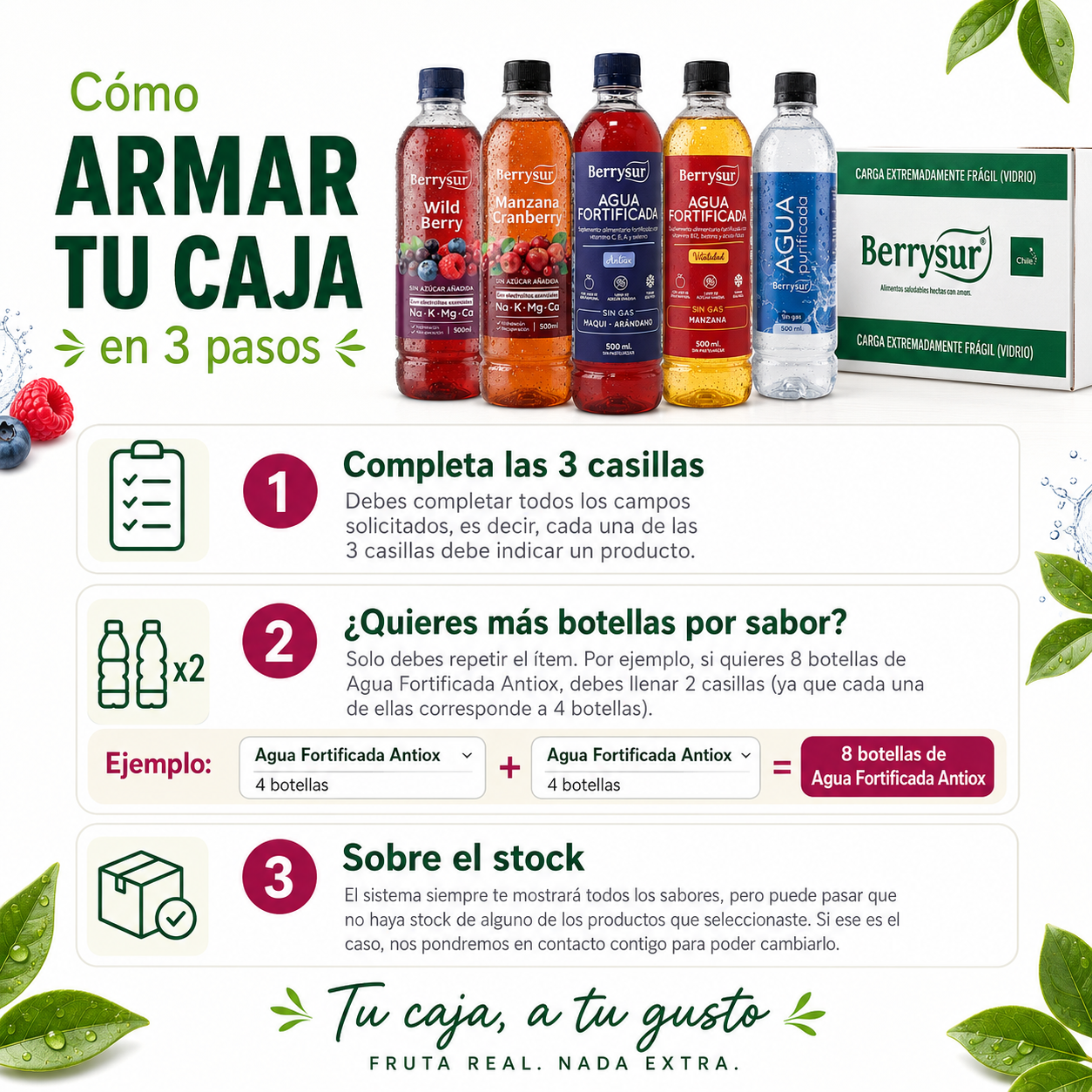 Arma tu Caja Aguas Berrysur - 12 unidades surtidas