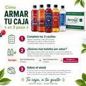 Arma tu Caja Aguas Berrysur - 12 unidades surtidas