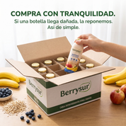 Batido con Cranberries 300 gr. - Caja 12 unidades
