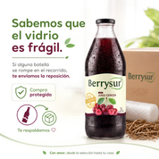 Jugo Cereza 1 lt. - Caja 6 unidades