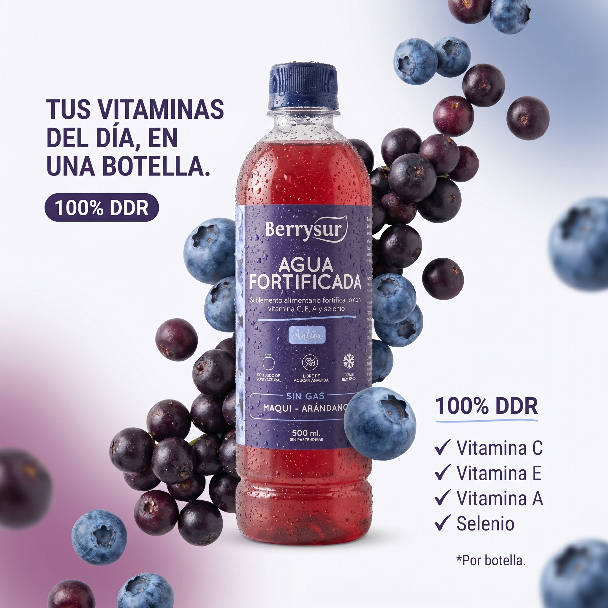 Agua Fortificada Anitox Maqui Arándano 500 ml - Caja 12 unidades