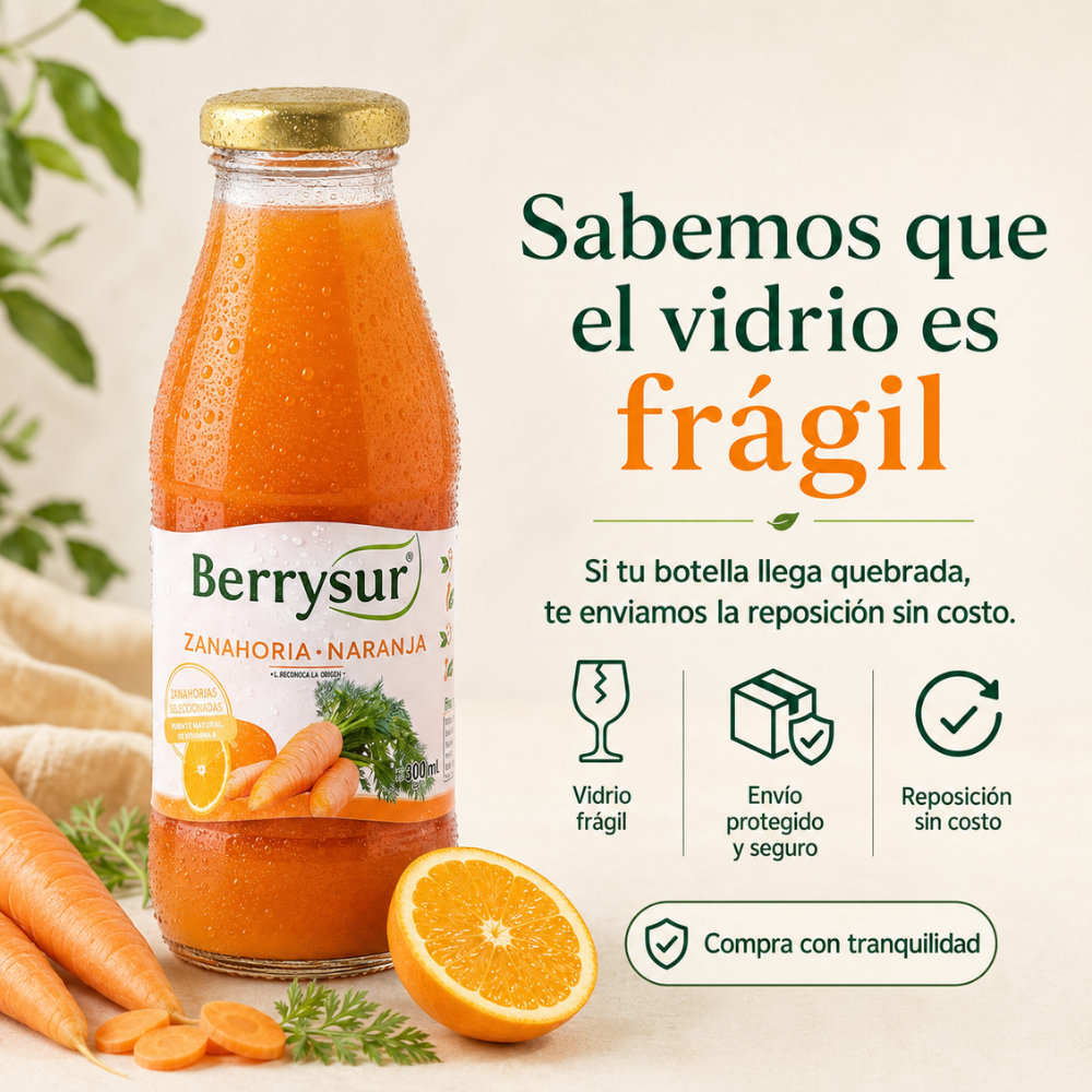 Jugo Zanahoria Naranja 250 cc. - Pack 12 unidades