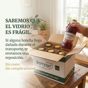 Jugo Cranberry 1 lt. - Caja 6 unidades