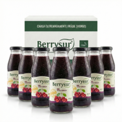 Jugo Cereza 250 ml - Caja 12 unidades