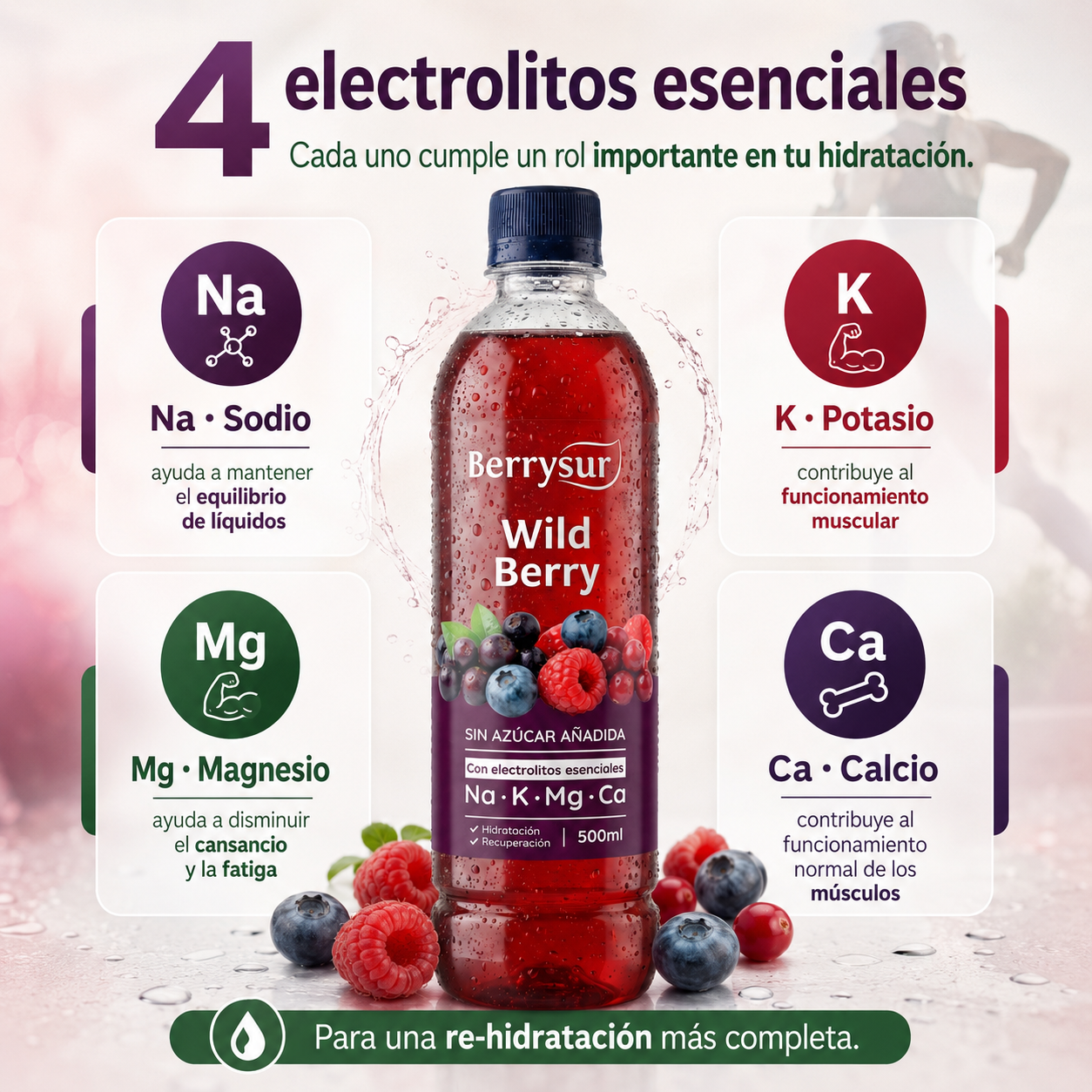 Agua Re-hidratante Wild Berry - Caja 12 unidades 500 ml. + DESPACHO GRATIS