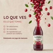 Jugo Cranberry 1 lt. - Caja 6 unidades
