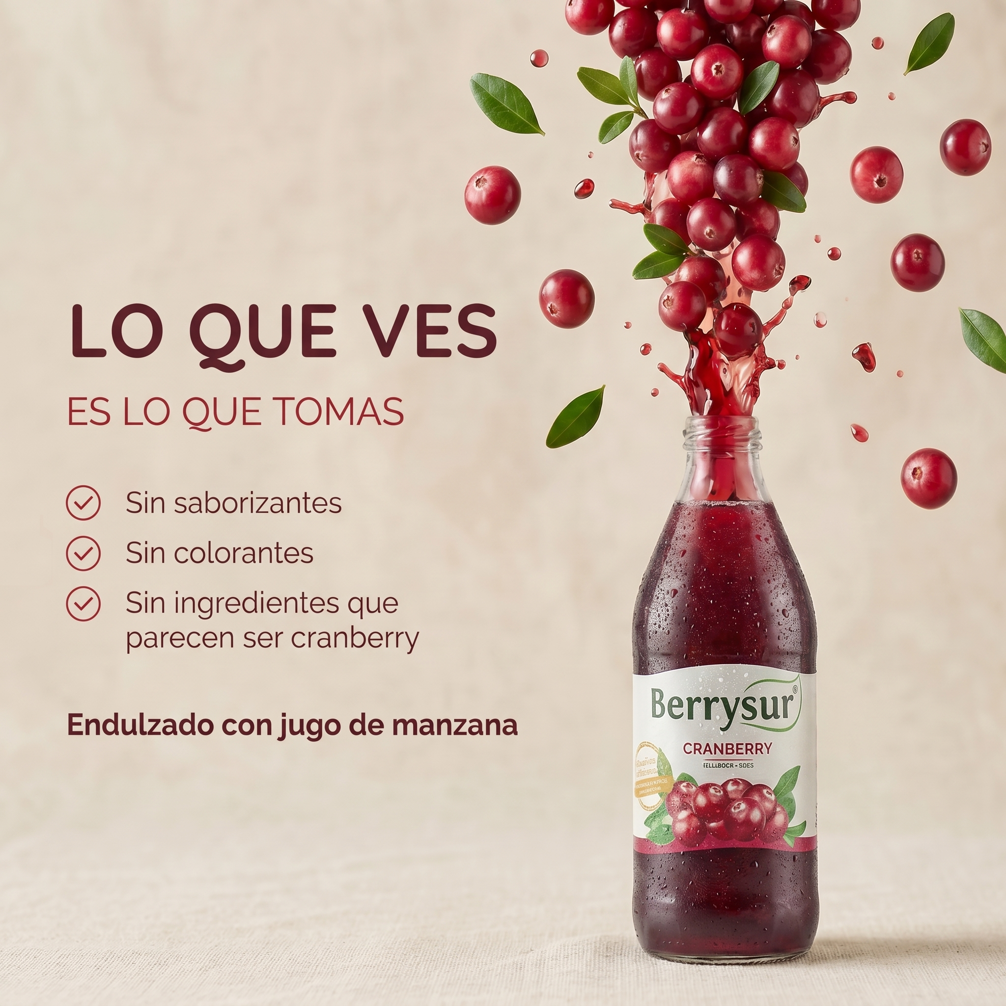 Jugo Cranberry 1 lt. - Caja 6 unidades