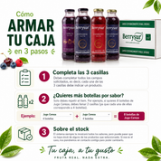 Arma tu caja Berrysur - 12 unidades 480 cc.