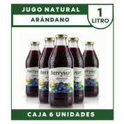 Jugo Arándano 1 lt. - Caja 6 unidades