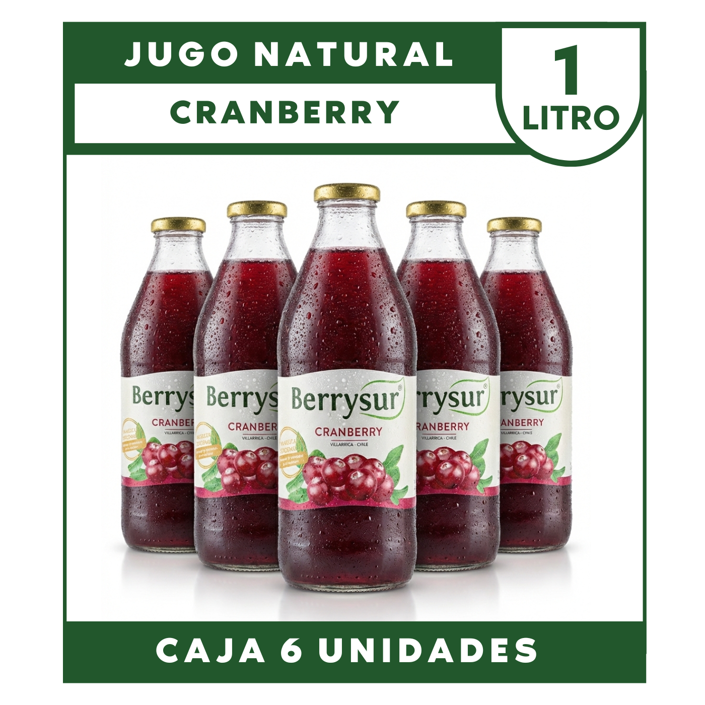 JUGOCRANBERRY1LTWEB.png