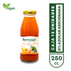 Jugo Zanahoria Naranja 250 cc. - Pack 12 unidades