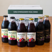 Mix Berries 1 lt. - Caja 6 unidades