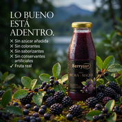 Jugo Mora Maqui 250 ml. - Caja 12 unidades