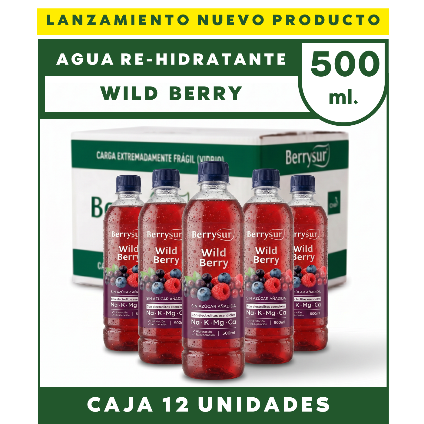 Agua Re-hidratante Wild Berry - Caja 12 unidades 500 ml. + DESPACHO GRATIS