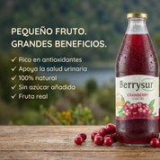 Jugo Cranberry 1 lt. - Caja 6 unidades