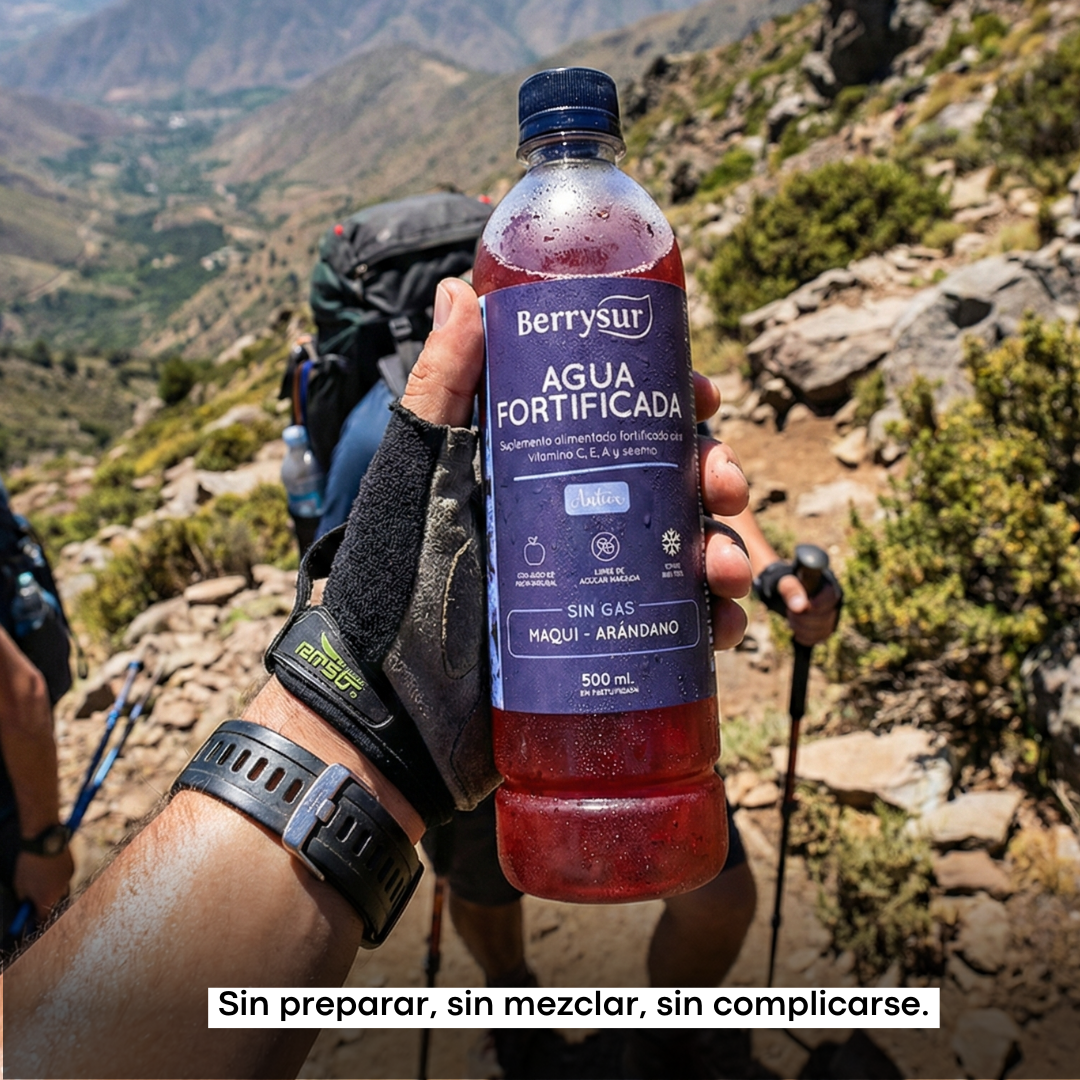 Agua Fortificada Anitox Maqui Arándano 500 ml - Caja 12 unidades