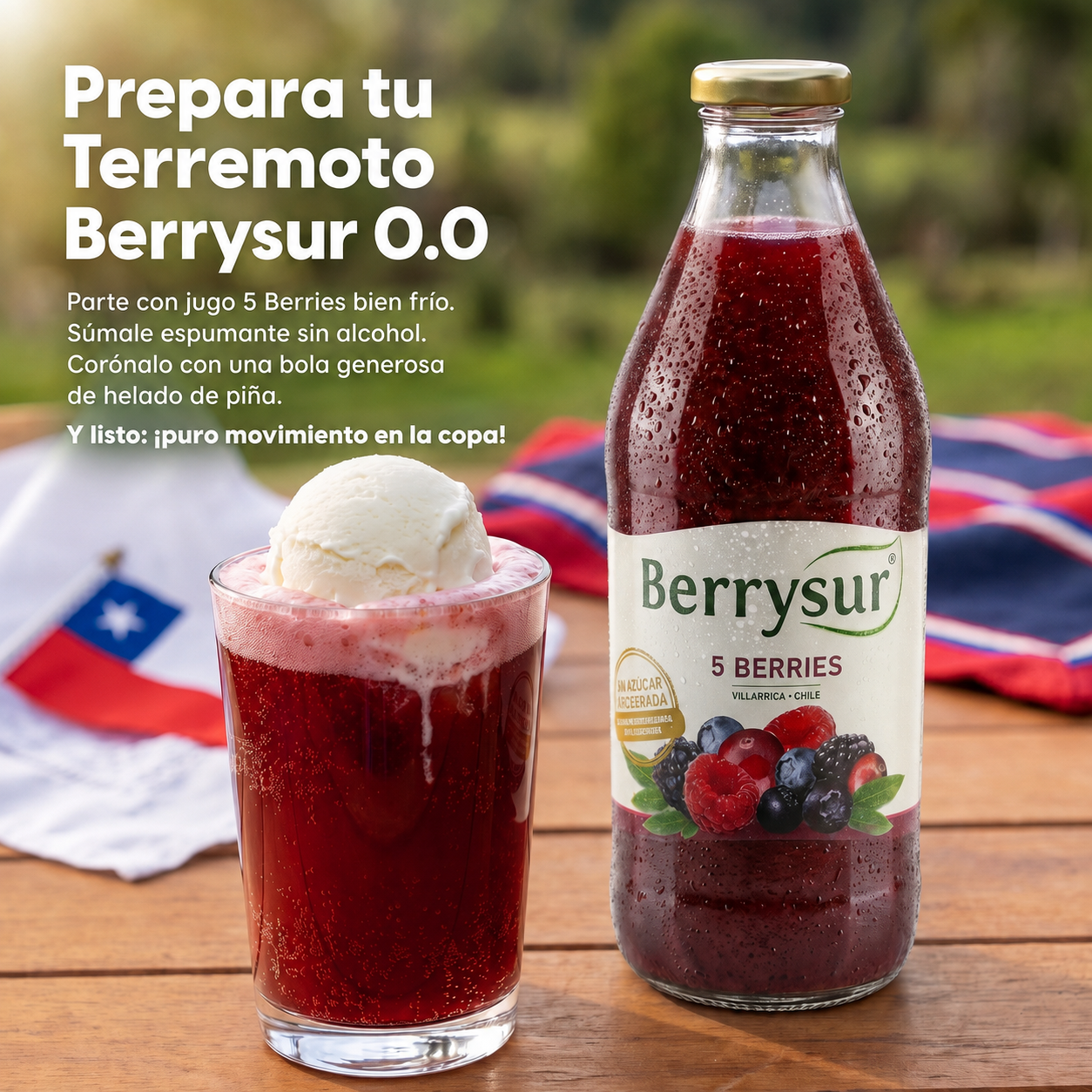 Caja Dieciochera Berrysur | 6 jugos de 1 litro