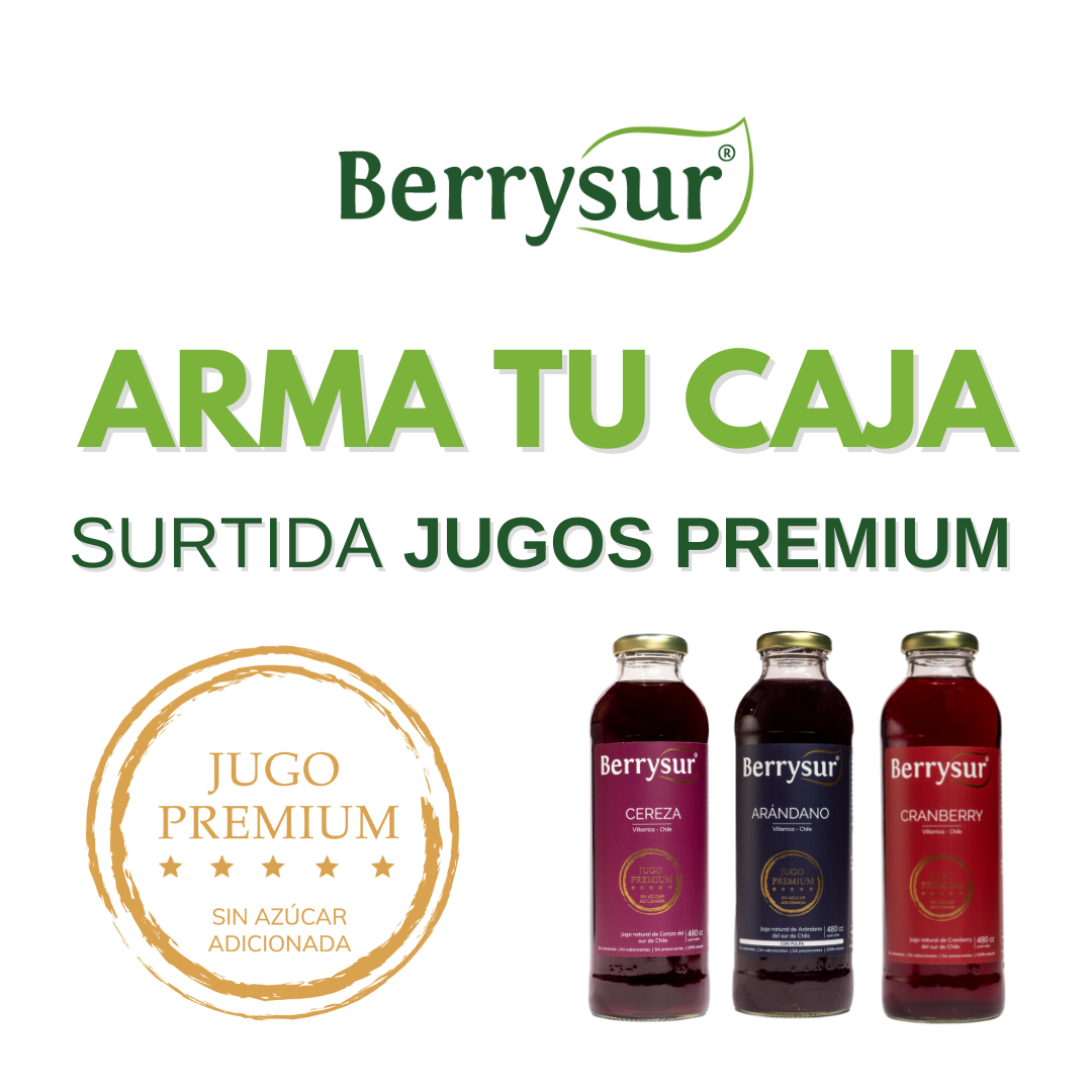 Arma tu caja Berrysur - 12 unidades Premium