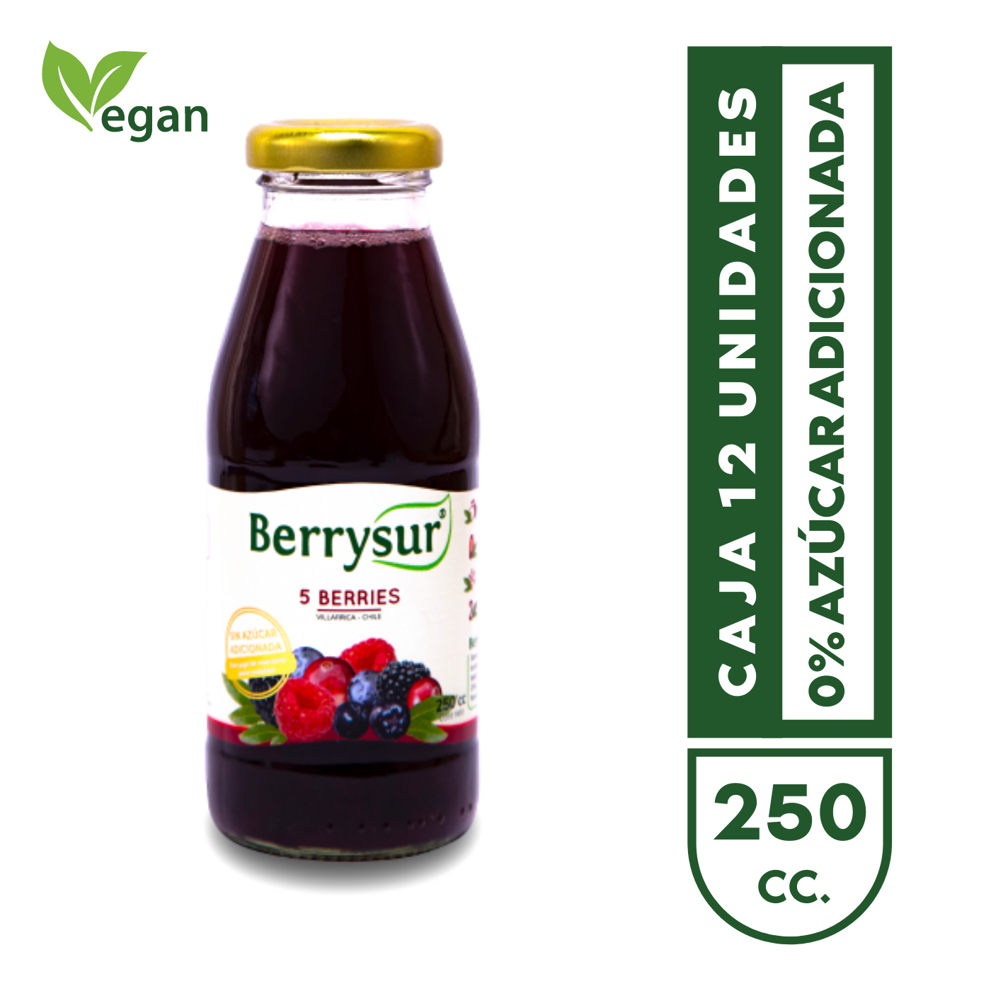 Jugo 5 Berries 250 cc. - Pack 12 unidades